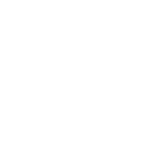 ConquerTheFlags's emblem