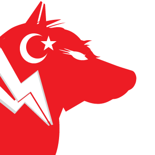 babamert1905's emblem