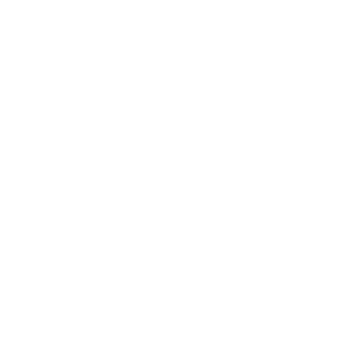 _Soulreaper_nsk's emblem