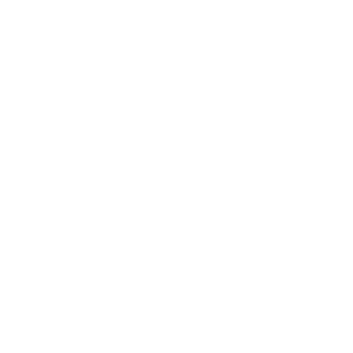 SiNOldat's emblem