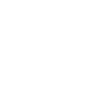 Wundmeister's emblem