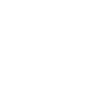 RapptorOne's emblem