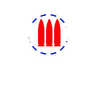 FireHawk1020's emblem