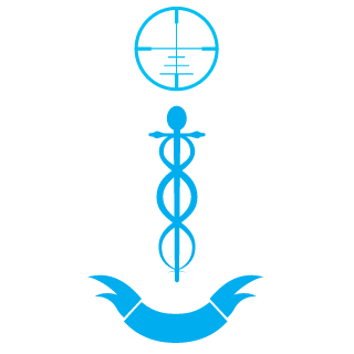 0o_Shau_o0's emblem