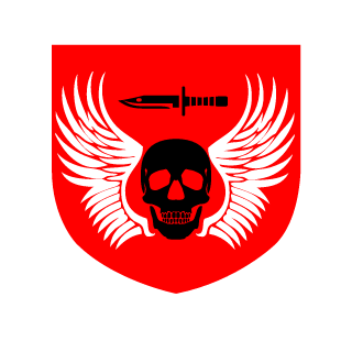 Ghost7991's emblem
