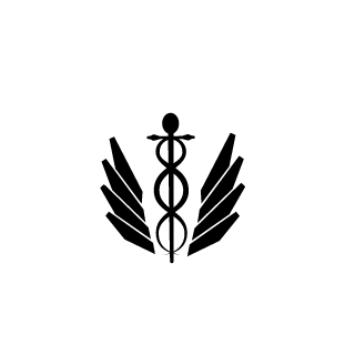 WujaMichal19's emblem