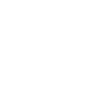 LDQZ's emblem