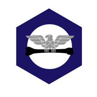 danakahawkeye's emblem