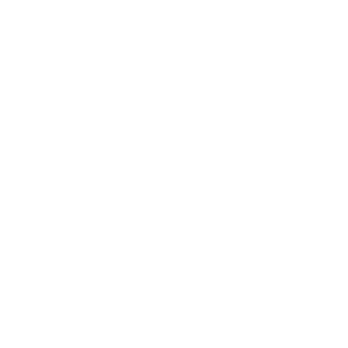 SkinDax's emblem