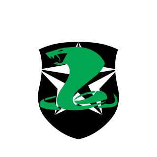 LostPenguinos's emblem