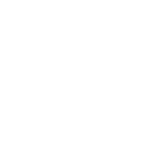 Intelian's emblem