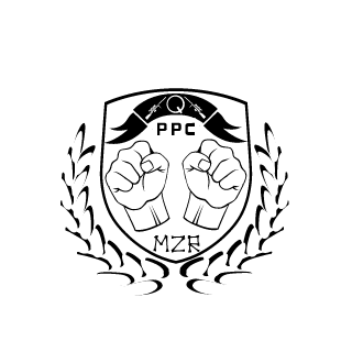 410e4e91d8f07c9f's emblem