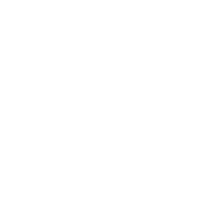 NSL-AH's emblem