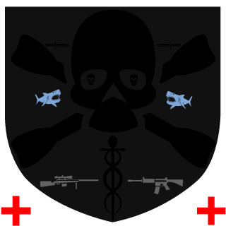 CptRise's emblem