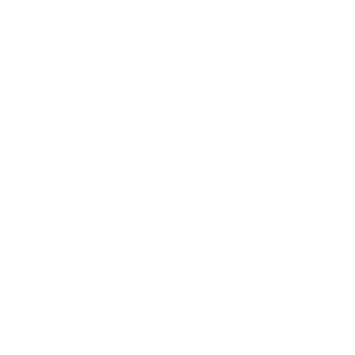 B0ES0's emblem