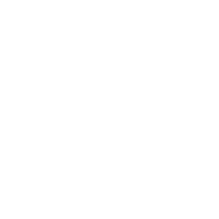 Andro_1911's emblem