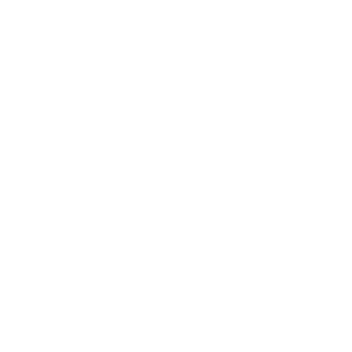 -ll-L3O-ll-'s emblem