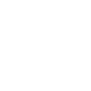 zStrupStun's emblem
