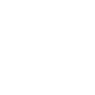 elephantmanballs's emblem