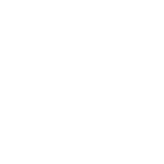 Noaim_enjoyer's emblem