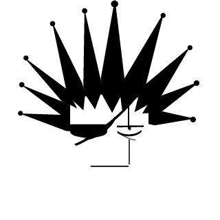 91danand's emblem