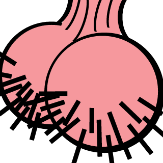IlFaBricioIl's emblem