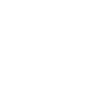 BadOmenZ81's emblem