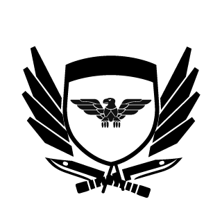 w1ck177's emblem