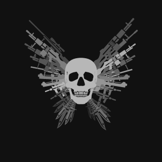 SurveillanceUnderRadar's emblem