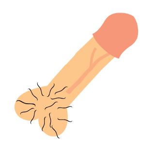 BiCoastalPie101's emblem