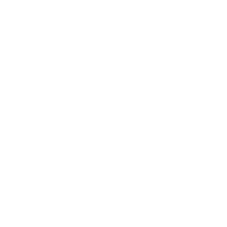 technobarbarian's emblem