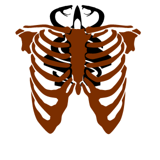 RingofStars's emblem