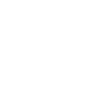 Just49fun4's emblem