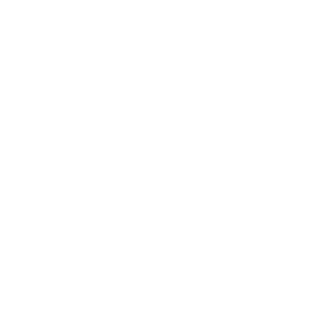SIGAR2003's emblem