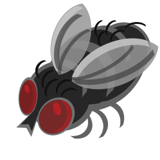 Flies's emblem