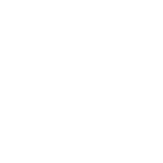 DoDiK81's emblem