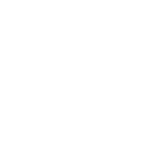 viking_rmr's emblem