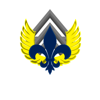 Star Dragon486's emblem
