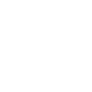 2o3t's emblem