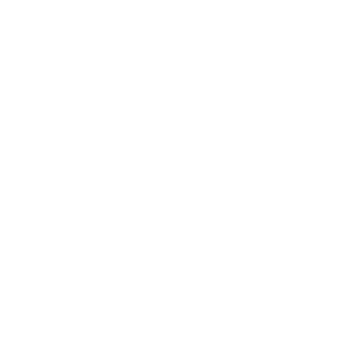 crispyspaceturd's emblem
