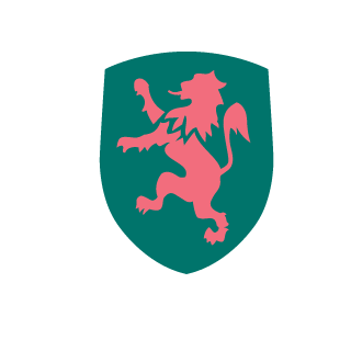 kapisto100's emblem