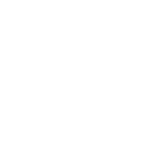 Lzanotto's emblem