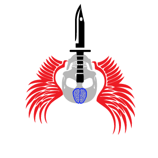 cybershirle5's emblem