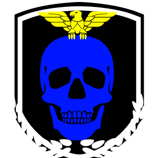 matheus17935's emblem