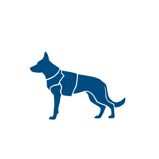 BruceWayne069's emblem