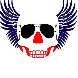 PlayTooHigh's emblem