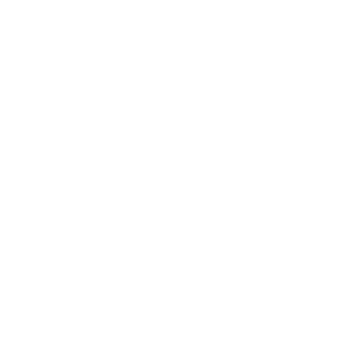 Nevalyashka90's emblem