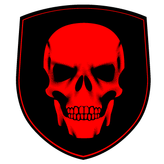 X4v1X's emblem