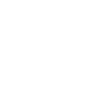 96BrHof's emblem