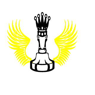 DomeniCz's emblem